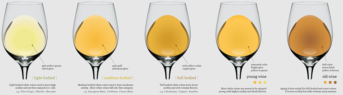 White Wine Colour Chart